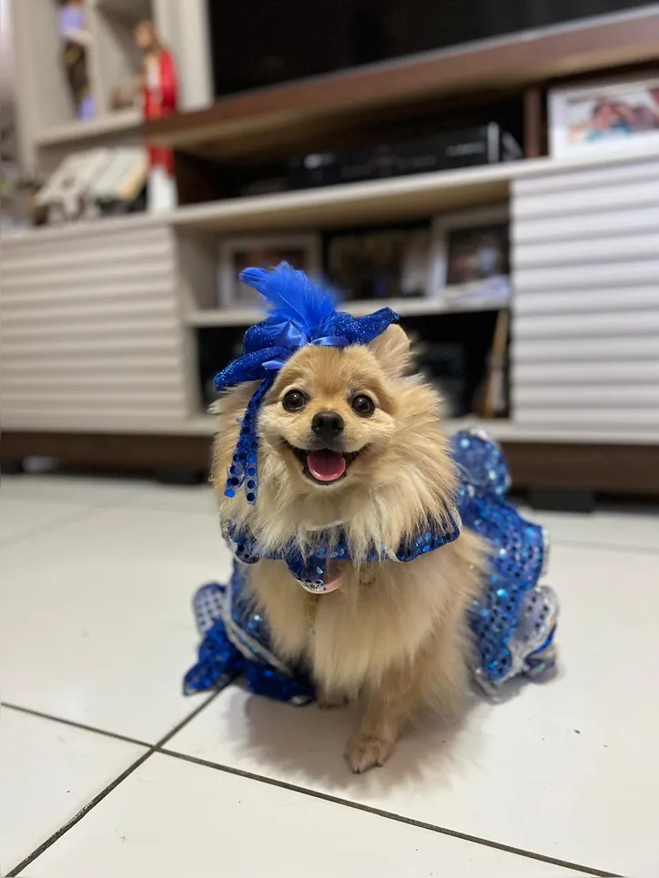 Yoga pronta para aproveitar o frevo do Carnaval do Recife