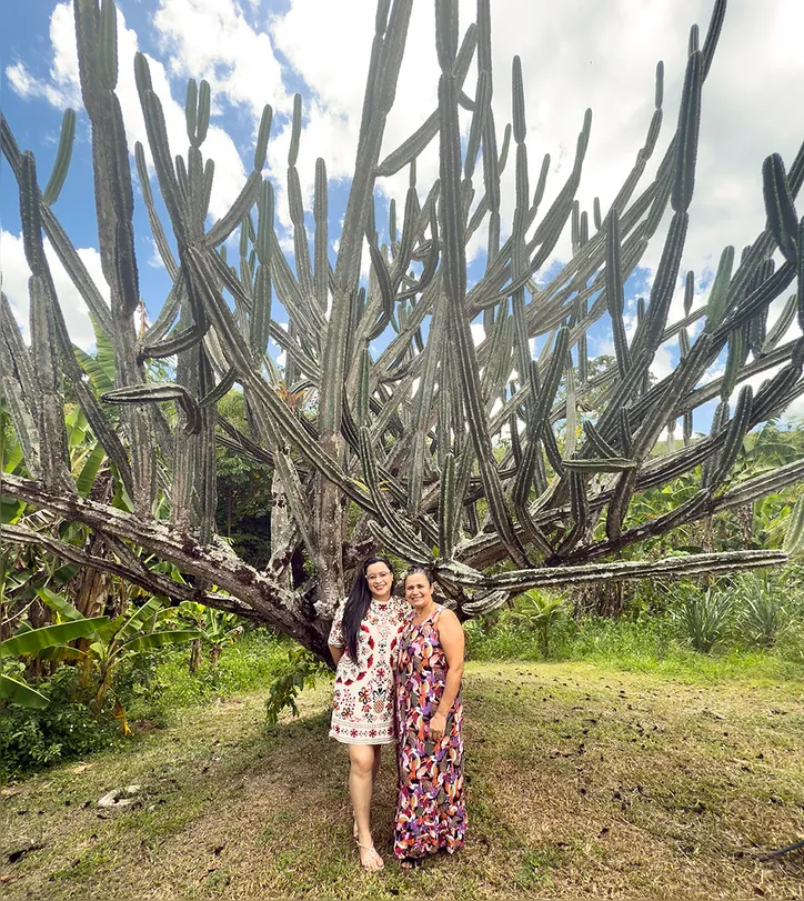 Imagem ilustrativa da imagem Em destaque: pousada rústica Mandacaru Abacate abriga o maior cactaceae de Alagoas