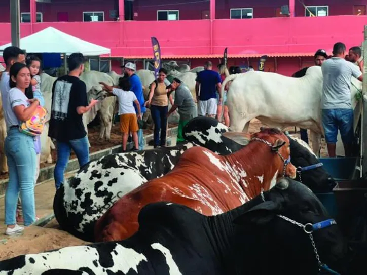 Nos dias de exposição, Parque da Pecuária receberá visitantes de todas as idades