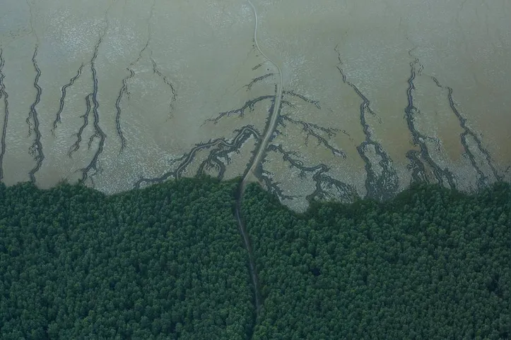Parque Nacional do Cabo Orange, no litoral do Amapá