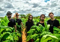Banda Quiçaça mistura coco, reggae, rock e cordel em novo disco imagem
