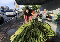 Falta de chuva eleva preço da 'mão de milho' em Maceió imagem