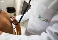 Governo abre 49 vagas do Mais Médicos para municípios e áreas indígenas em Alagoas imagem