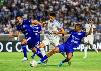 Série C: após avançar na Copa do BR, CSA recebe o Confiança imagem