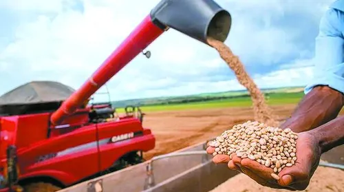 Conab: safra de grãos 24/25 tem estimativa recorde de 330,3 milhões de toneladas - Imagem