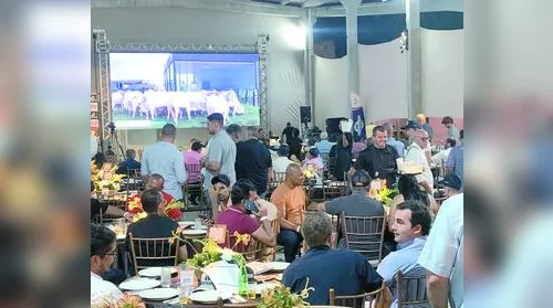 Leilão Excelência Santa Nazaré supera expectativas e registra crescimento de 20% - Imagem