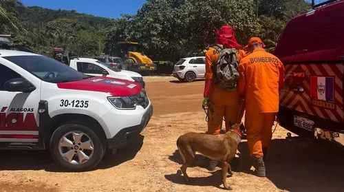 Polícia amplia buscas por jovem Ana Beatriz no Litoral Norte - Imagem