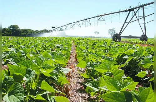 Novo mapa nacional mostra áreas com potencial agrícola