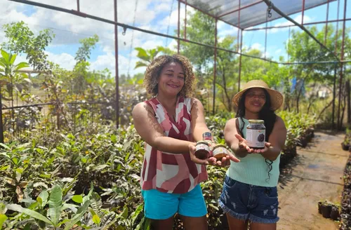 Piaçabuçu transforma caju em doces e leva sabores da agricultura familiar ao Alagostoso