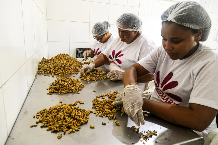 Cooperativa está mudando a realidade das marisqueiras