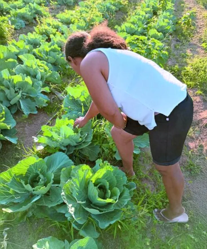 Imagem ilustrativa da imagem Desenrola Rural pode beneficiar mais de 27 mil agricultores familiares em Alagoas