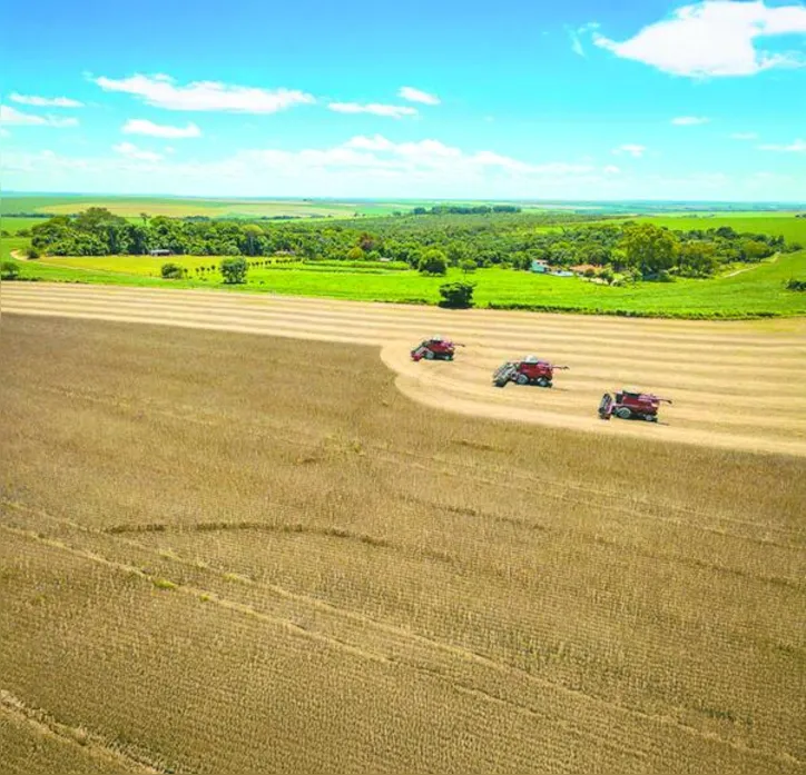 Além do PIB e do nível de emissões de CO2, são considerados na precificação fatores como participação da agricultura na economia e uso de fertilizantes nitrogenados