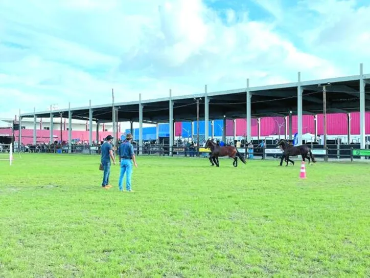 Equinos Mangalarga Marchador são atração no evento com julgamento e participação na 7ª etapa do Campeonato Nordestino Expogenética