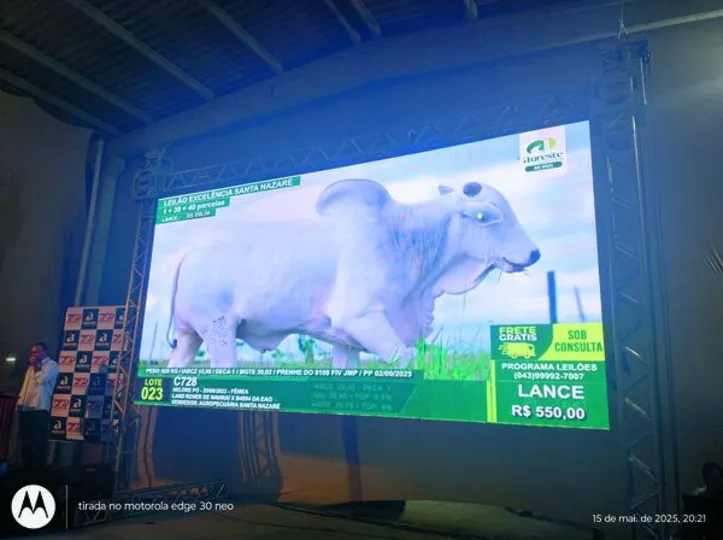 Imagem ilustrativa da imagem Expoalagoas fatura R$ 6 milhões e consolida protagonismo do agro alagoano