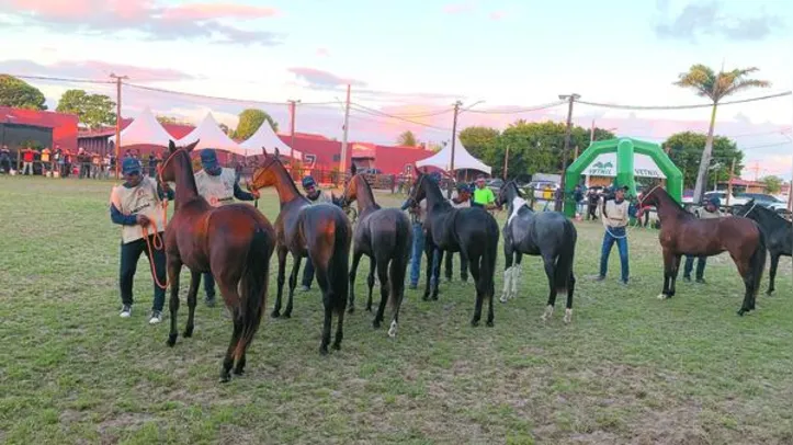 Imagem ilustrativa da imagem Expoalagoas fatura R$ 6 milhões e consolida protagonismo do agro alagoano