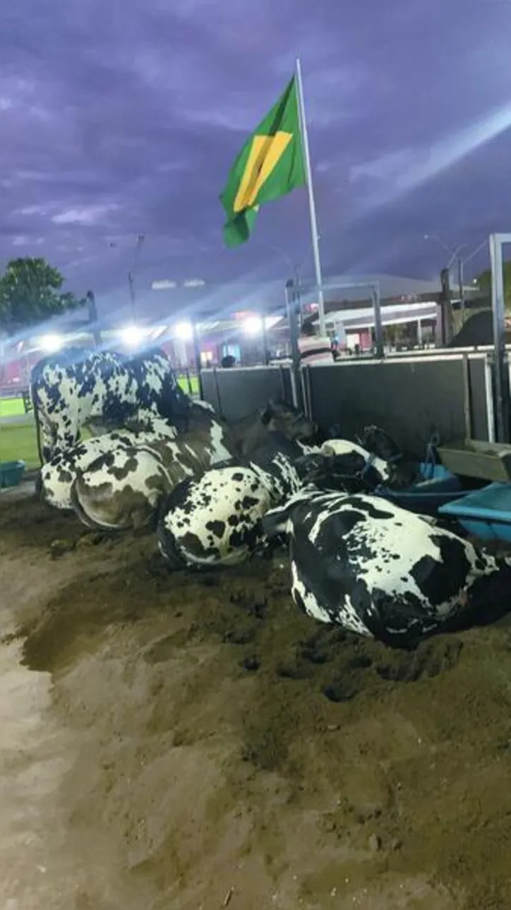 Imagem ilustrativa da imagem Expoalagoas fatura R$ 6 milhões e consolida protagonismo do agro alagoano