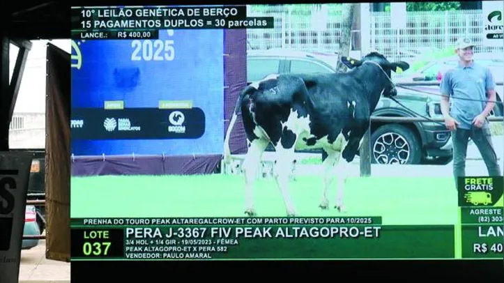 Genética de Berço fatura mais de R$ 1,1 milhão e encerra Expoalagoas com alta de 42%
