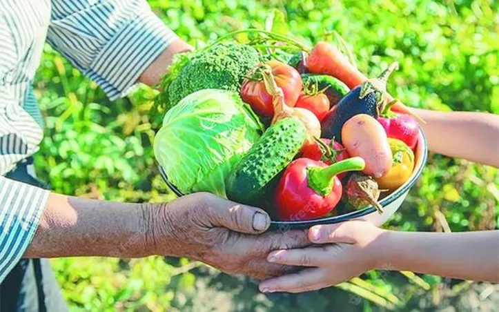 Iniciativa interministerial destinará R$ 24 milhões para projetos de ensino, pesquisa e extensão voltados à produção agroecológica