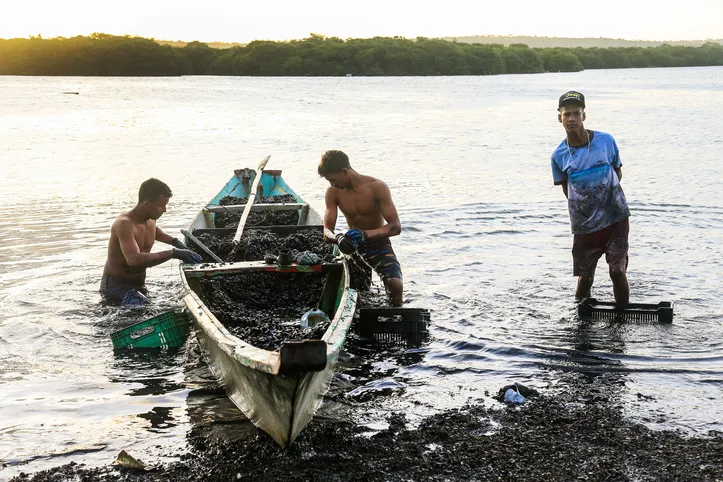 Metal pesado foi encontrado em comunidade que vive da lagoa