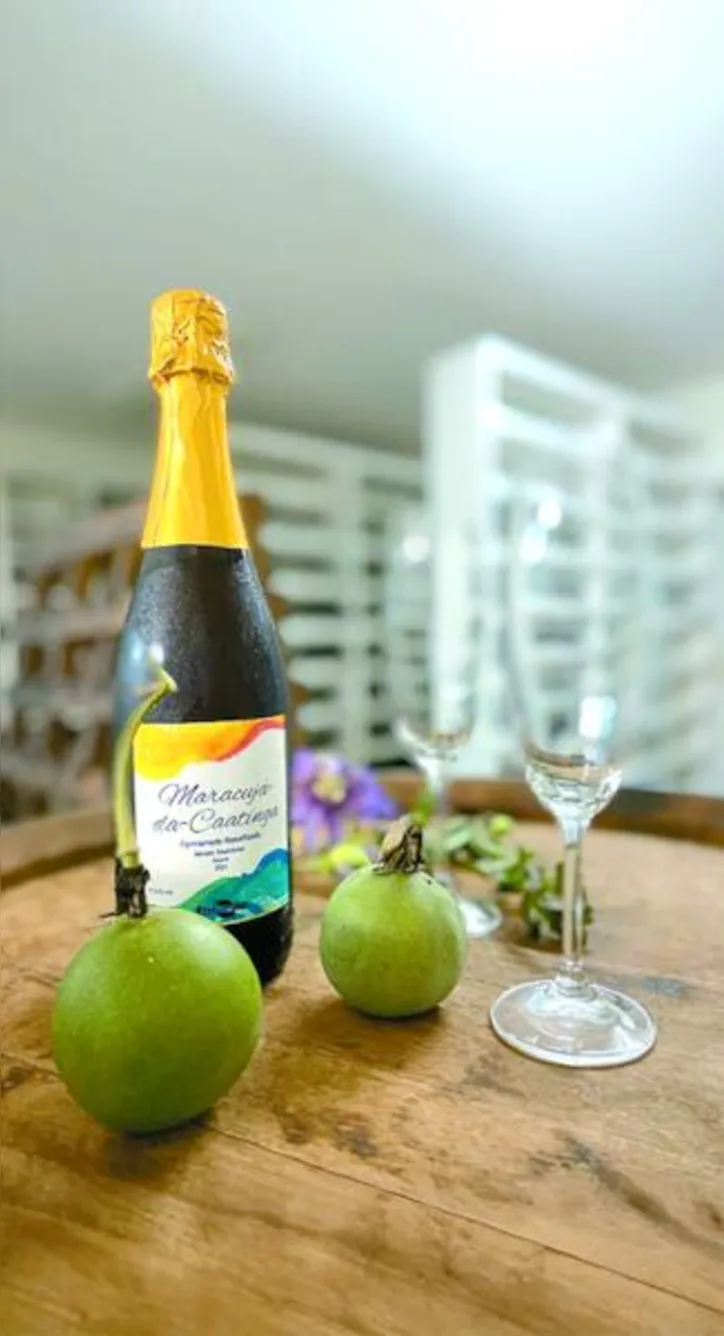 O maracujá-da-caatinga é resistente à seca e apresenta grande potencial para novos produtos agroindustriais