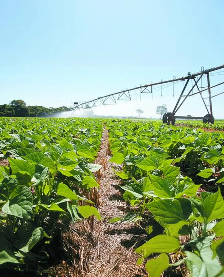 Novo mapa de aptidão agrícola das terras do Brasil mostra, em três níveis de manejo, o potencial agrícola de todas as regiões do País