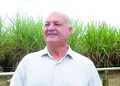Clima pode atrasar início da safra 24/25, mas expectativa é de maior rendimento industrial