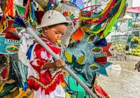 Bumba Meu Boi encanta público em cortejo popular e é tema de exposição em Maceió imagem