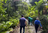 Perícia identifica indícios de crime ambiental em Maceió imagem