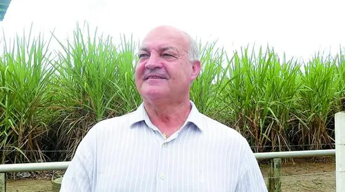 Clima pode atrasar início da safra 24/25, mas expectativa é de maior rendimento industrial - Imagem
