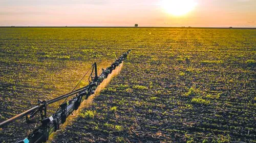 Desenrola Rural leva alívio a mais de 56 mil famílias de agricultores brasileiros - Imagem