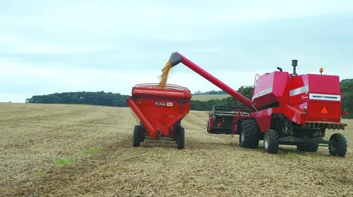 Levantamento aponta safra recorde na produção agrícola em 2025 - Imagem