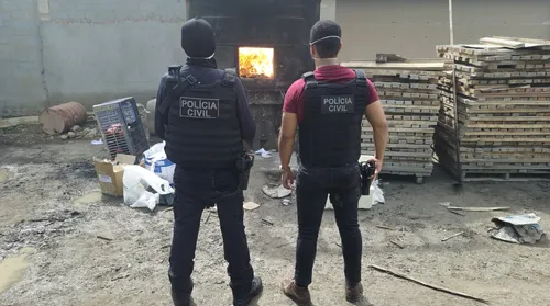 Mais de 1,6 tonelada de drogas é incinerada em operação da Polícia Civil - Imagem