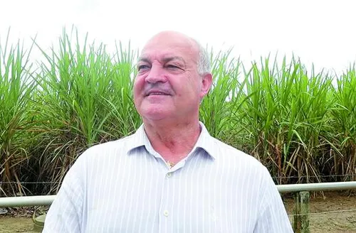 Clima pode atrasar início da safra 24/25, mas expectativa é de maior rendimento industrial