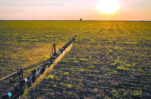 Desenrola Rural leva alívio a mais de 56 mil famílias de agricultores brasileiros