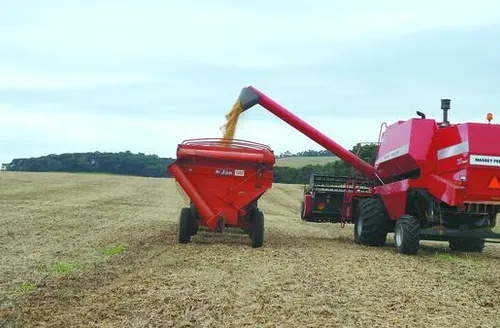 Levantamento aponta safra recorde na produção agrícola em 2025
