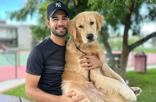 Mais que treinamento, adestramento transforma a relação entre os cães e o tutor