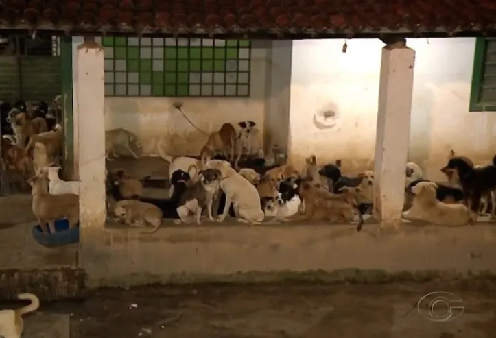 Abrigo fica em Marechal Deodoro
