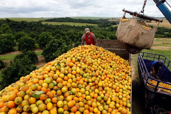 Imagem ilustrativa da imagem Brasil quer suco de laranja e café e Embraer fora do tarifaço