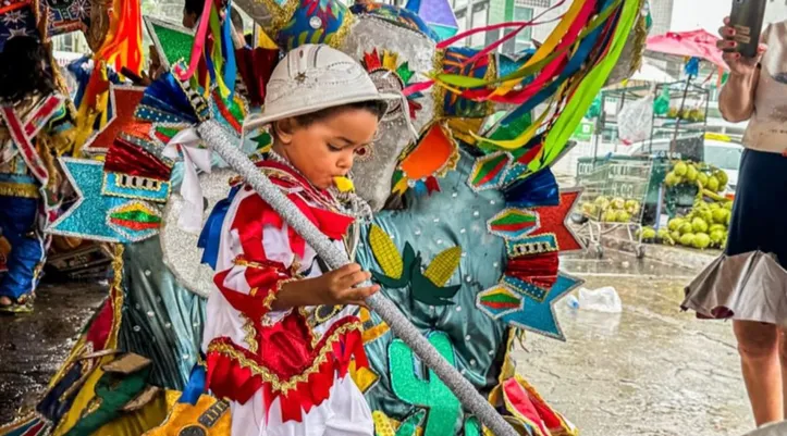 Imagem ilustrativa da imagem Bumba Meu Boi encanta público em cortejo popular e é tema de exposição em Maceió