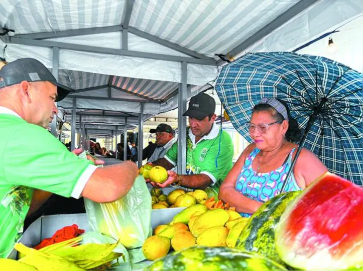 Imagem ilustrativa da imagem Circuito Regional de Feiras reforça potencial da agricultura familiar em AL