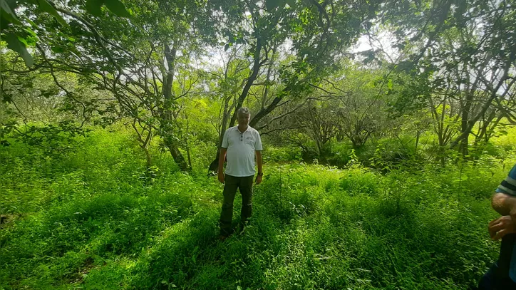 Doutor em Geoprocessamento e pesquisador da Embrapa (Empresa Brasileira de Pesquisa Agropecuária), Iêdo Bezerra Sá