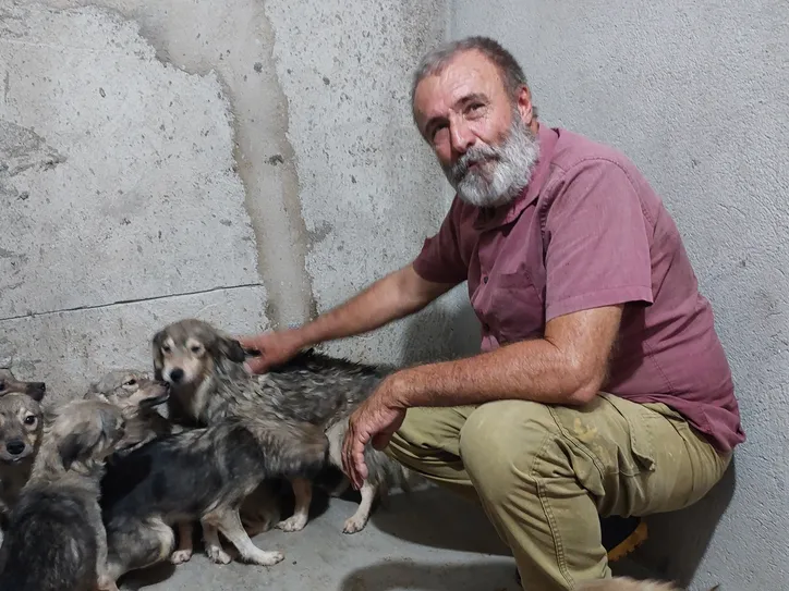 Antônio Anastácio pede ajuda para manter abrigo de cães