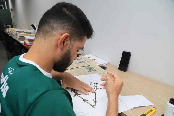 Coleção conta com cerca de 76 mil exemplares de plantas catalogadas

Herbário MAC, espaço do IMA que reúne uma coleção com milhares de exemplares de plantas prensadas para estudiosos da flora alagoana e brasileira. Alagoas - Brasil.

Foto:@Ailton Cruz