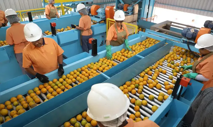 Imagem ilustrativa da imagem Petróleo, suco de laranja, aviões: quase 700 produtos escaparam do tarifaço