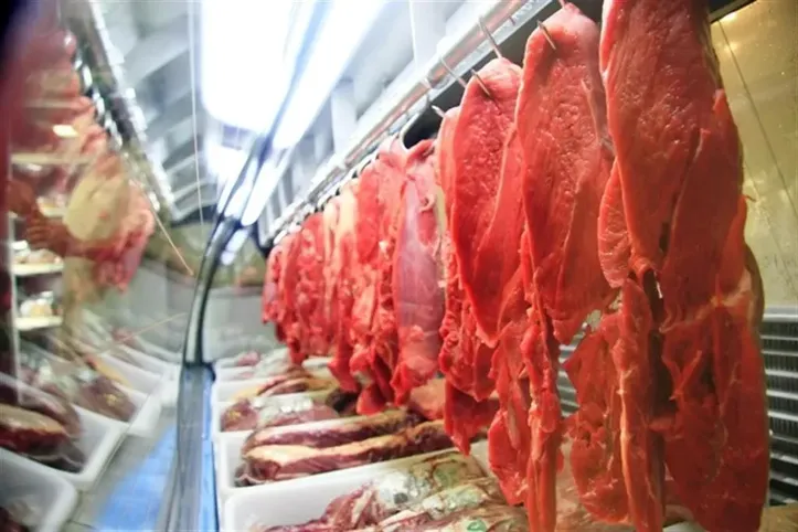 Imagem ilustrativa da imagem Venda de carne bovina do Brasil para os EUA cai 61,8%