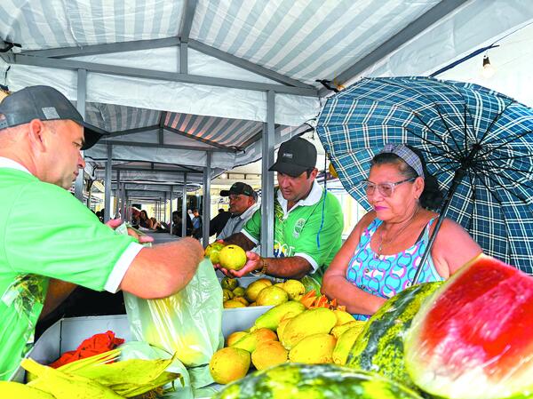 Imagem ilustrativa da imagem Circuito Regional de Feiras reforça potencial da agricultura familiar em AL