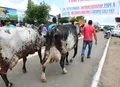 Expo Bacia Leiteira chega à 42ª edição com programação voltada à agricultura familiar