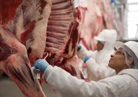 Exportação de carne bovina do Brasil bate novo recorde em setembro imagem