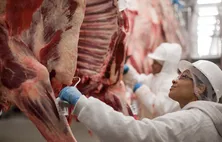 União Europeia suspende importação de carnes, ovos e mel oriundos do Brasil