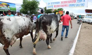 Expo Bacia Leiteira chega à 42ª edição com programação voltada à agricultura familiar